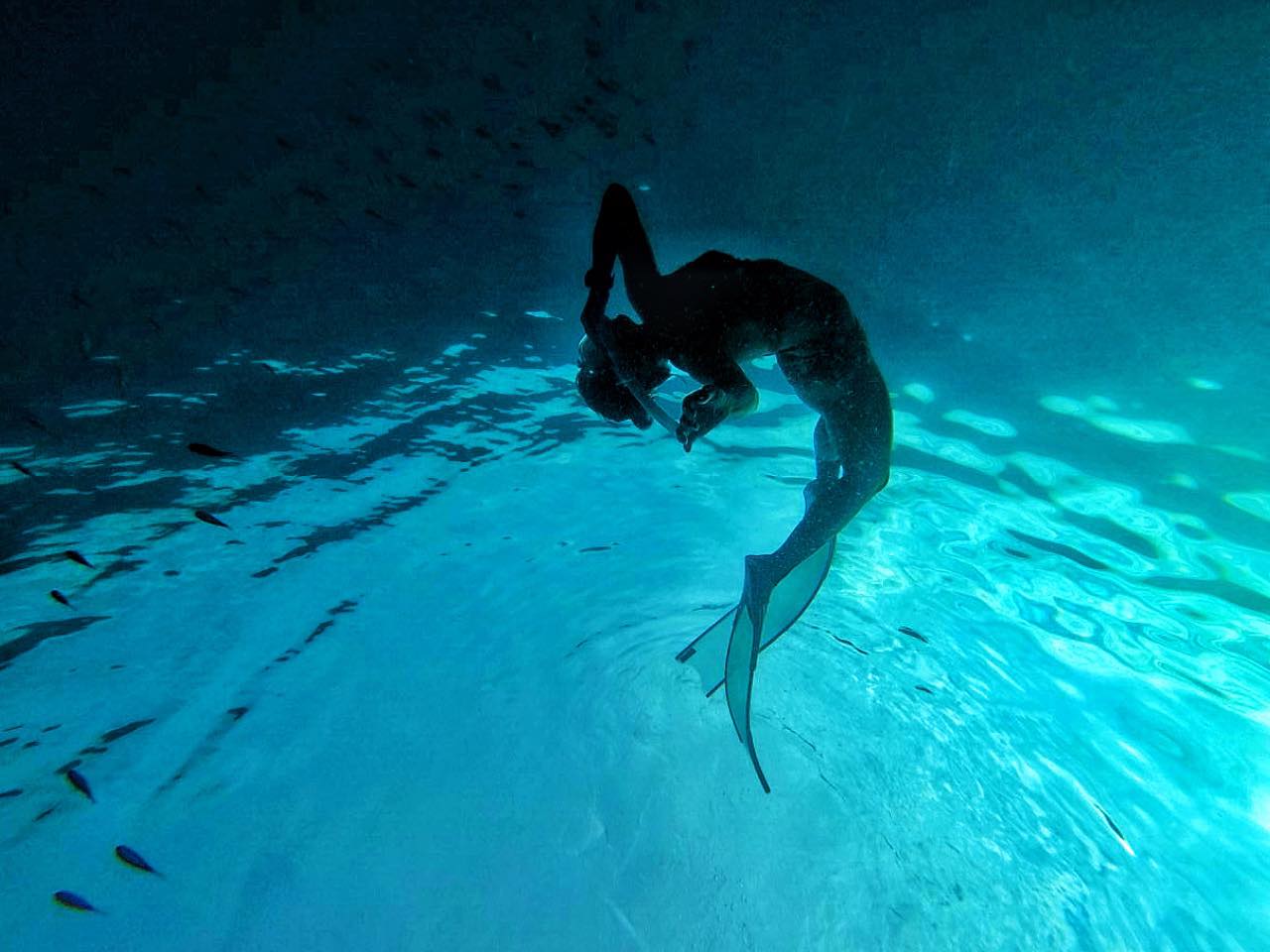 Khoá học lặn tự do