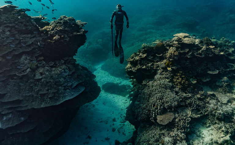 Hình Tour lặn biển