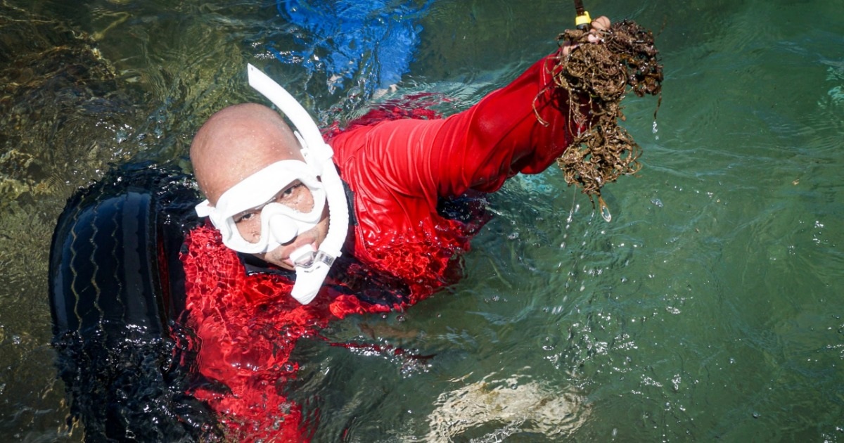 Ngâm mình hàng giờ dưới biển "cởi trói" cho san hô Đà Nẵng