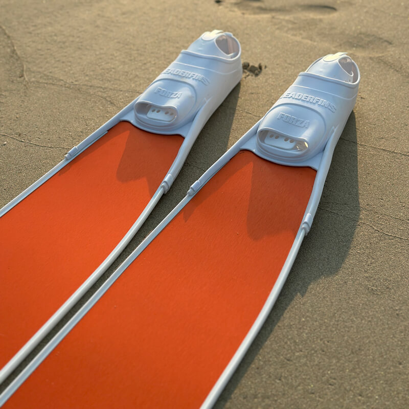 Cho thuê fins leaderfins