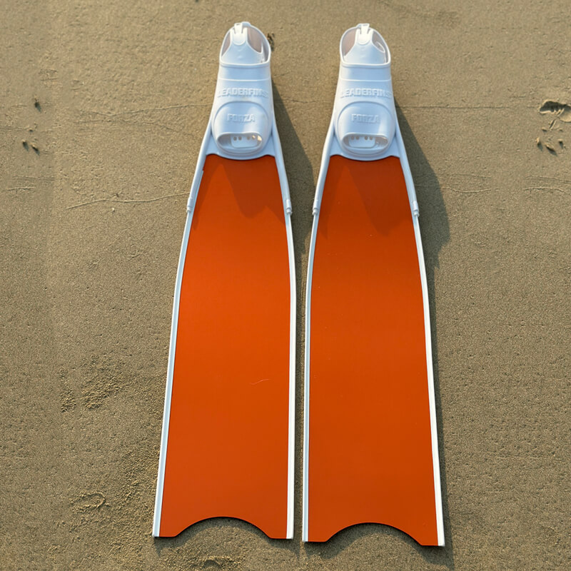 Cho thuê fins leaderfins