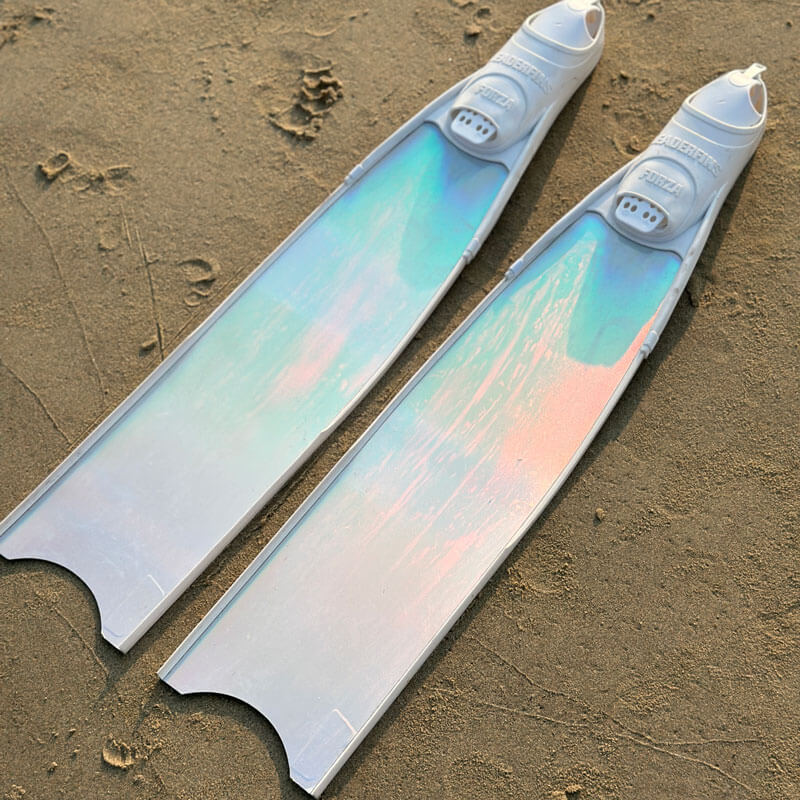 Cho thuê fins leaderfins