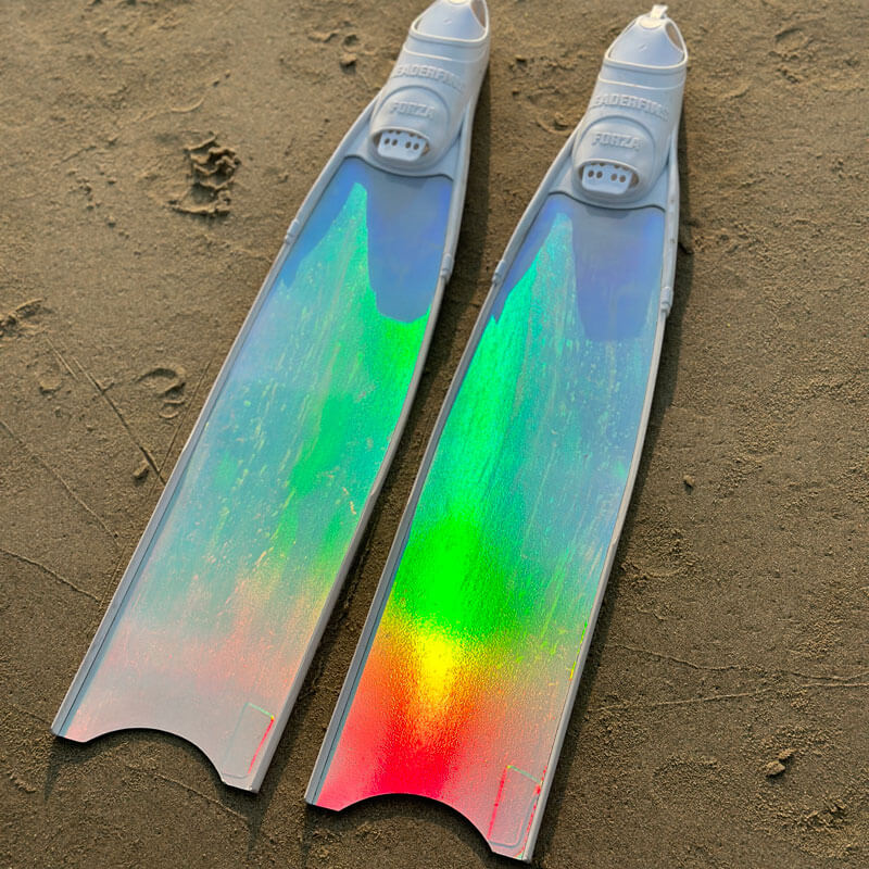 Cho thuê fins leaderfins