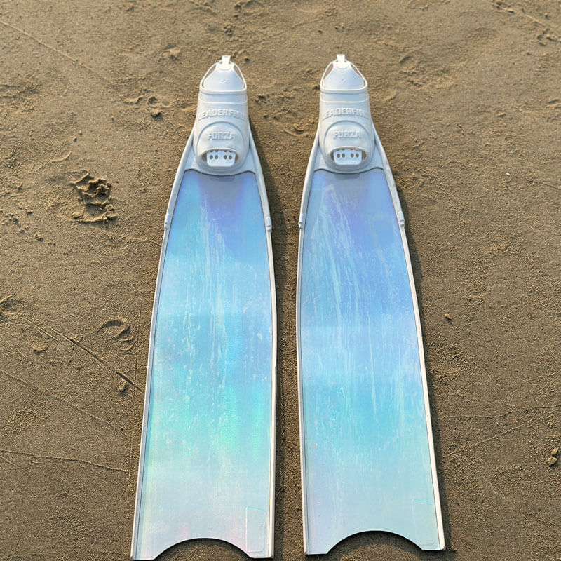 Cho thuê fins leaderfins