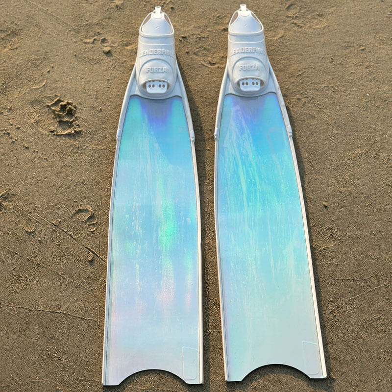 Cho thuê fins leaderfins