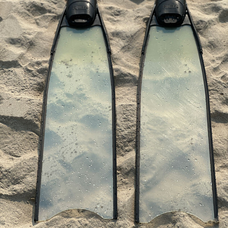 Cho thuê fins leaderfins