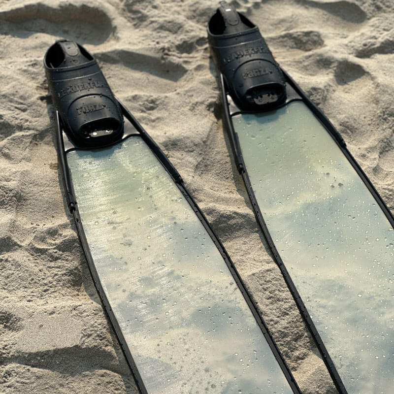 Cho thuê fins leaderfins