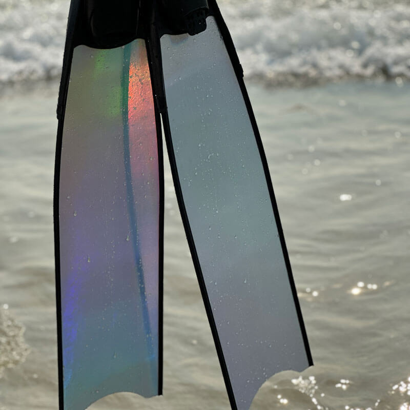 Cho thuê fins leaderfins