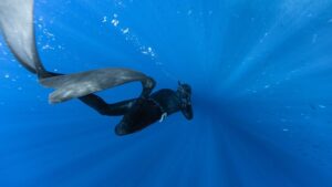 Giới Thiệu Vây Lặn Cho Freediving